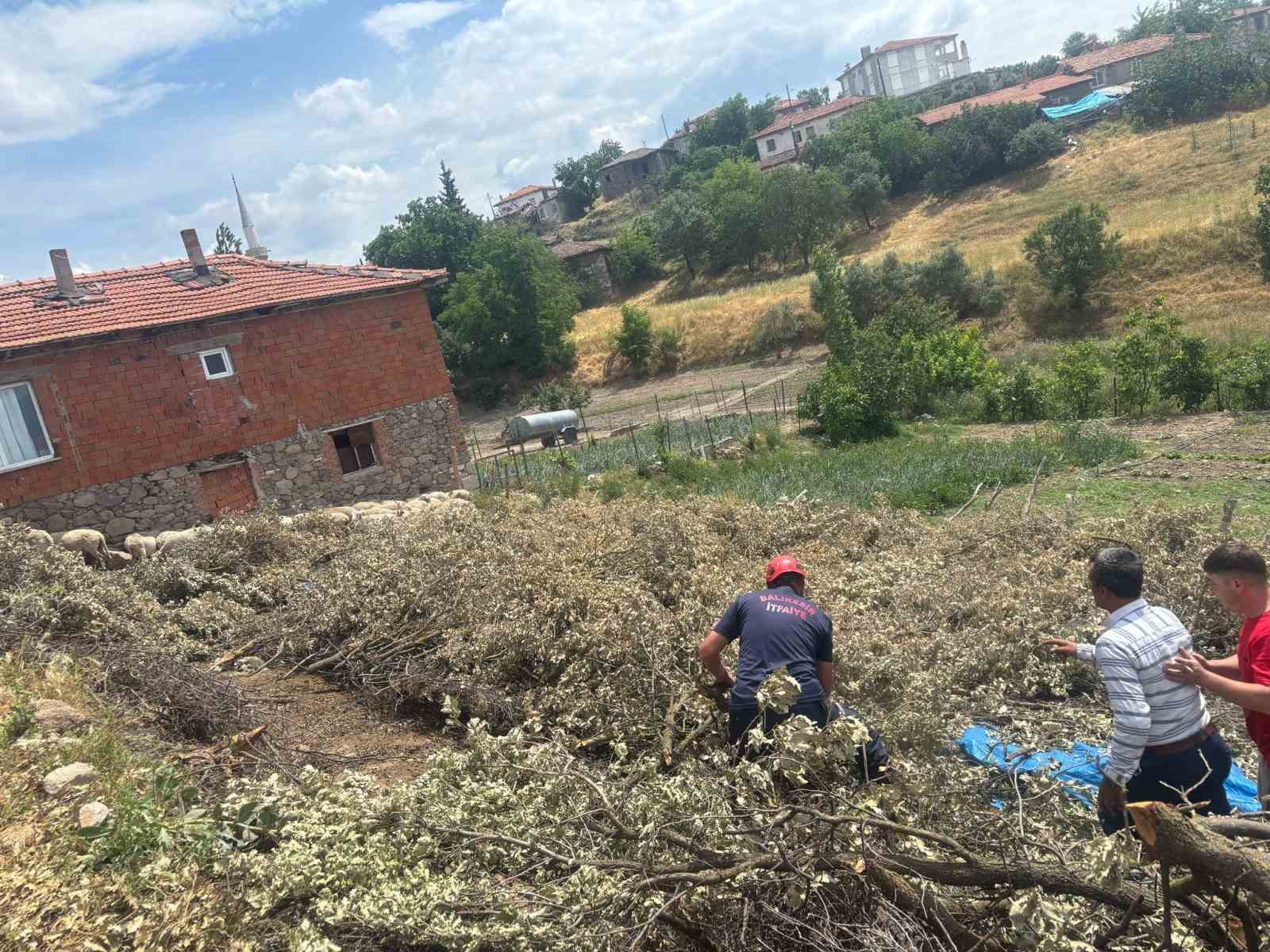 SINDIRGI'DA KOYUN DAMI ÇÖKTÜ, 2 KOYUN TELEF OLDU