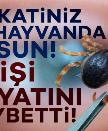 900786-kkka-tanisi-konan-1-kisi-hayatini-kaybetti-68242a8d9d959