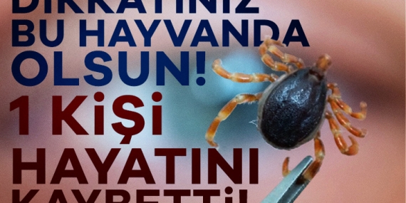 Kene Isırığıyla Gelen Ölüm: KKKA Alarmı! 1 Can Kaybı, 8 Vaka… İşte Hayat Kurtaran Önlemler!