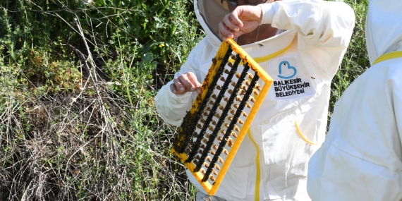 Büyükşehir’den arıcılık sektörüne önemli destek