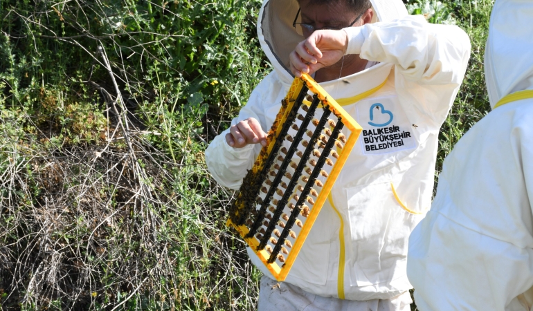Büyükşehir’den arıcılık sektörüne önemli destek
