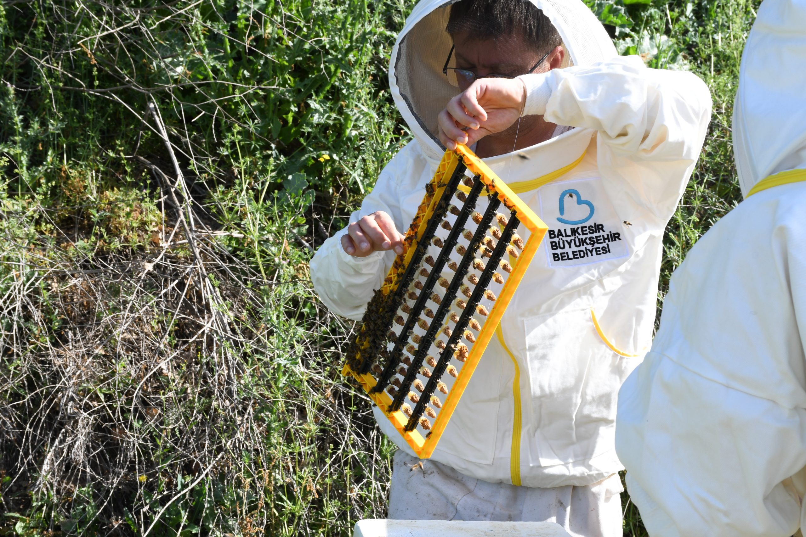 Baskan-Akinin-destegi-aricilari-sevindirdi-2-scaled