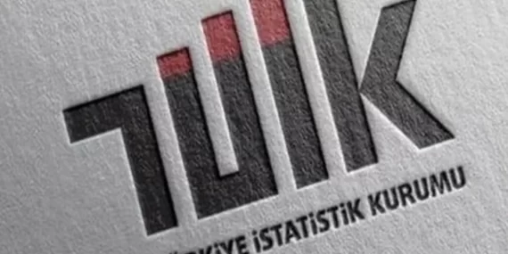 Ortalama hanehalkı büyüklüğü 3,11 oldu