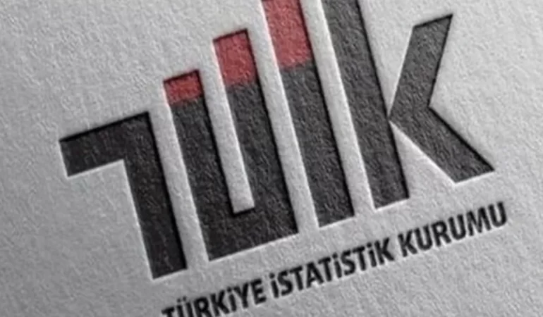 Ortalama hanehalkı büyüklüğü 3,11 oldu