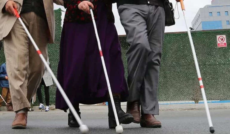 Araştırma ortaya koydu: Afetlerde engelliler yok sayılıyor