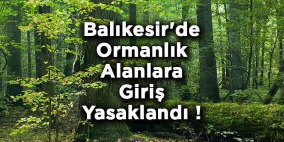 Balıkesir’de Ormanlara Giriş Yasaklandı: Yaz Dönemi İçin Yeni Tedbirler Alındı