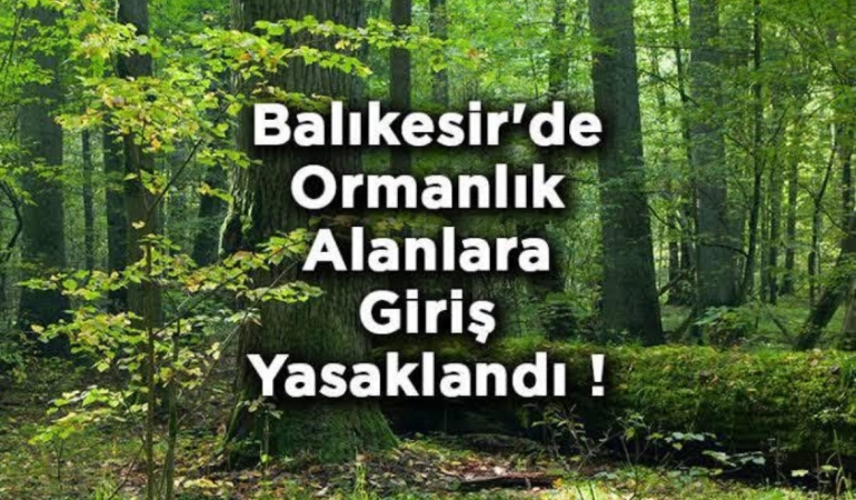 Balıkesir’de Ormanlara Giriş Yasaklandı: Yaz Dönemi İçin Yeni Tedbirler Alındı