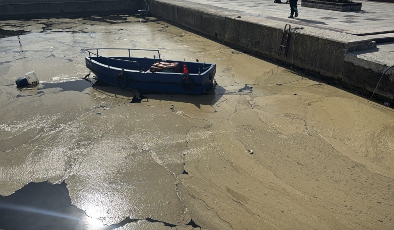 Bandırma ve Gönen sahillerinde müsilaj yüzeye çıktı