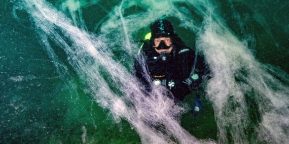 Müsilaj uyarısı: “Kontrol edilebilecek tek faktör kirliliktir”