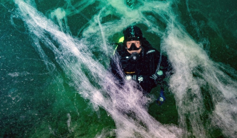 Müsilaj uyarısı: “Kontrol edilebilecek tek faktör kirliliktir”