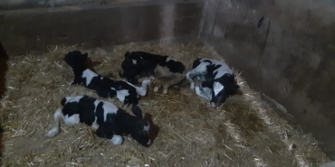 WhatsApp-Gorsel-2025-05-27-saat-16.23.31_ff8d3fd1