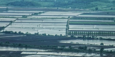 WhatsApp Image 2025-05-09 at 16.23.17