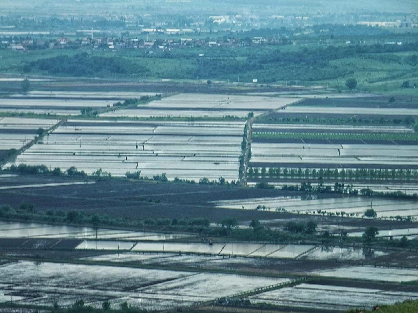 WhatsApp Image 2025-05-09 at 16.23.17