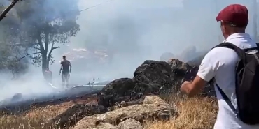 AYVALIK'TA ORMAN YANGINI