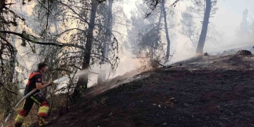 DURSUNBEY'DE ORMAN YANGINI