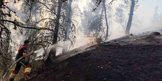 Balıkesir’de orman yangını