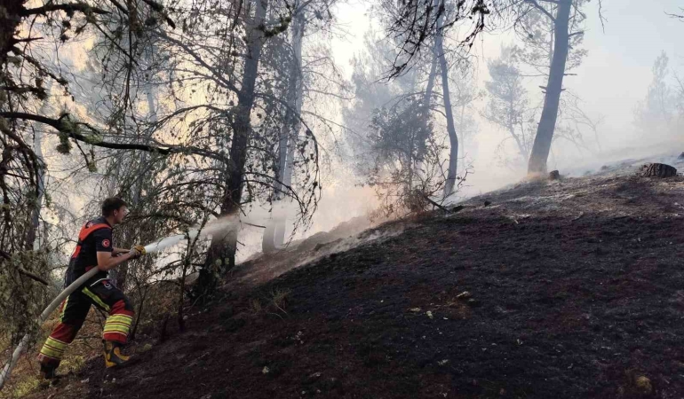 Balıkesir’de orman yangını