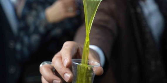 Sıcaktan bunalanlara serinlemek için zeytinyağı önerisi