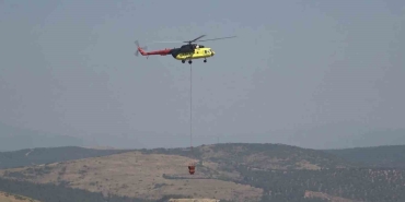 BALIKESİR'DE ORMAN YANGINI