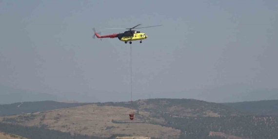 Balıkesir’de orman yangını