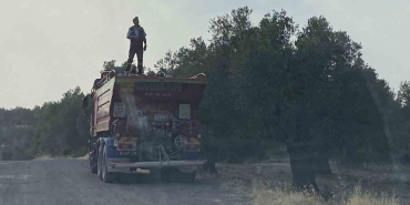 AYVALIK'TA ZEYTİNLİK ALANDA ÇIKAN YANGIN KONTROL ALTINA ALINDI