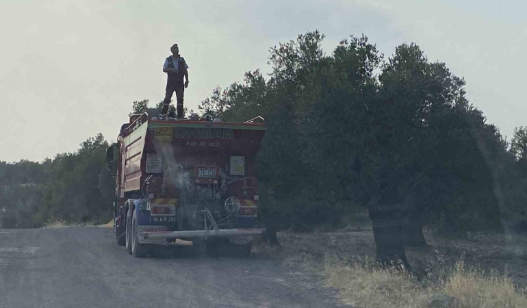 Ayvalık’ta zeytinlik alanda çıkan yangın kontrol altına alındı