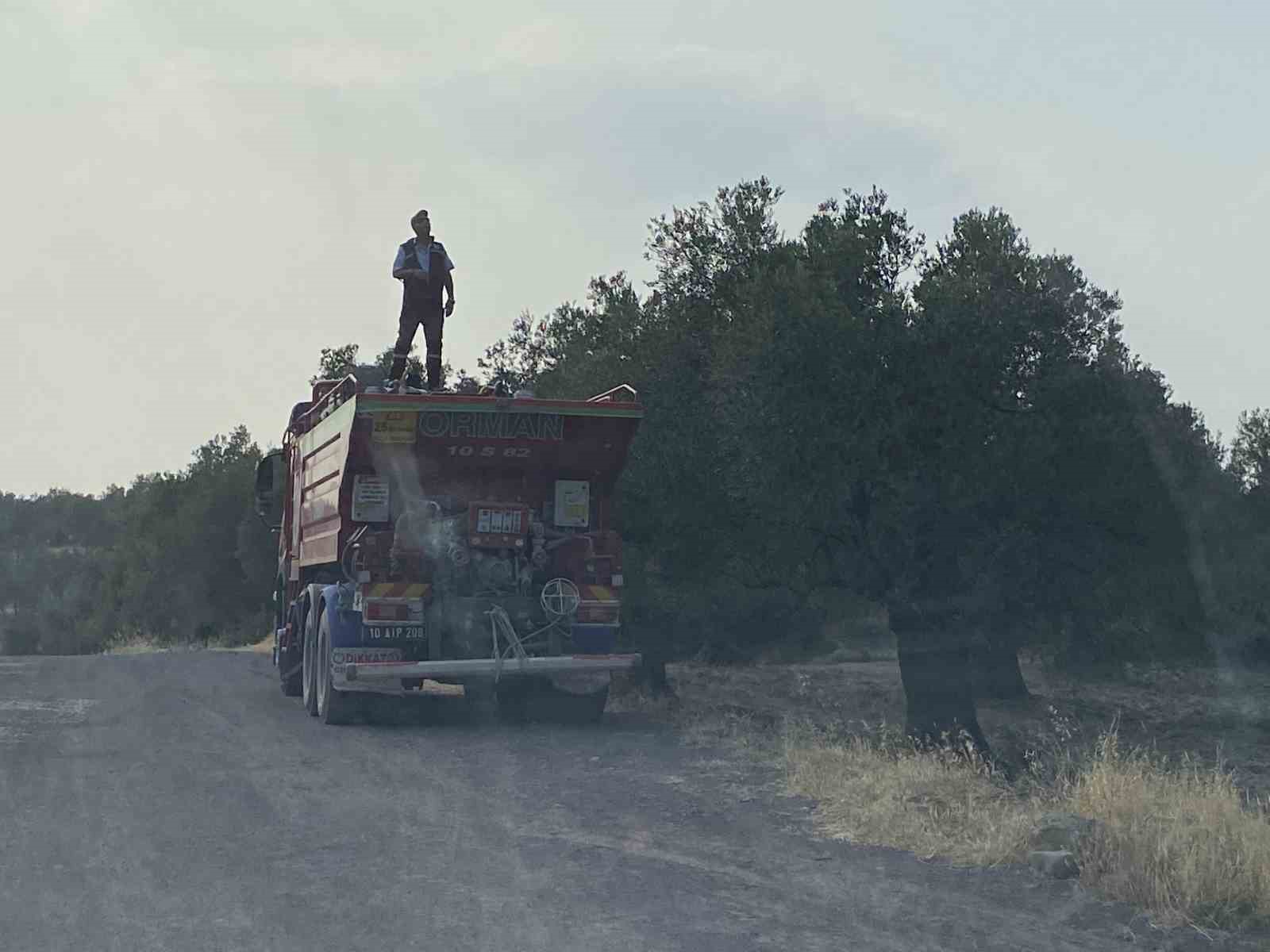 AYVALIK'TA ZEYTİNLİK ALANDA ÇIKAN YANGIN KONTROL ALTINA ALINDI