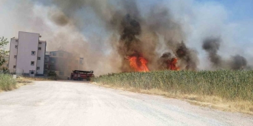 EDREMİT'TE SAZLIK ALANDA YANGIN