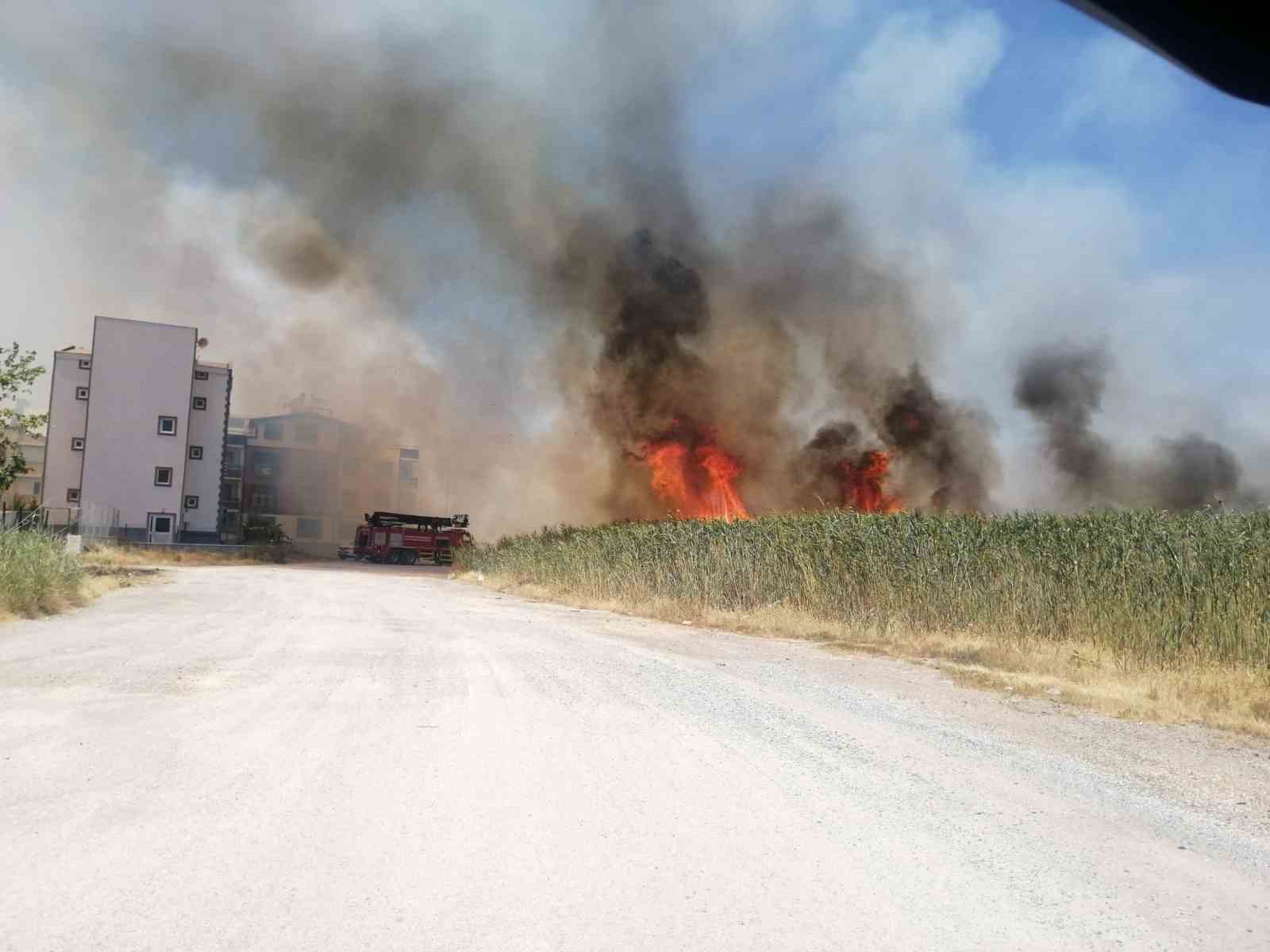 EDREMİT'TE SAZLIK ALANDA YANGIN