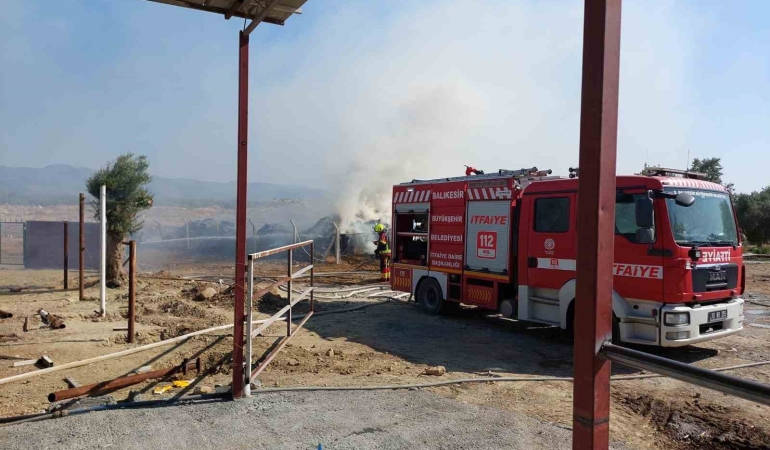 Balıkesir’de besi çiftliğinde yangın paniği