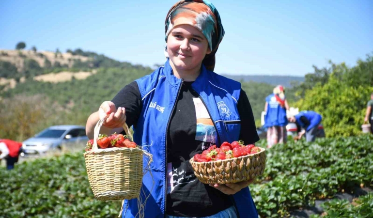 Balıkesirli gençlerden ’Gönüllü Hasat’ etkinliği
