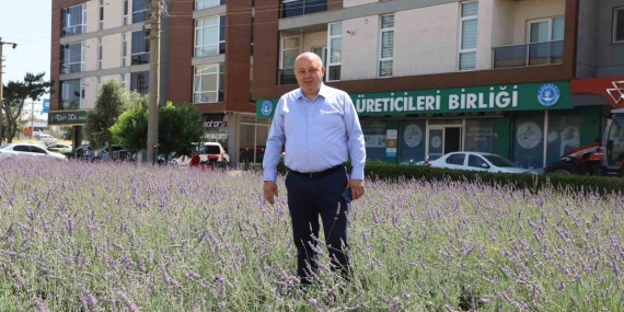 Gönen’de biyogaz tesisine “ÇED olumlu” kararı