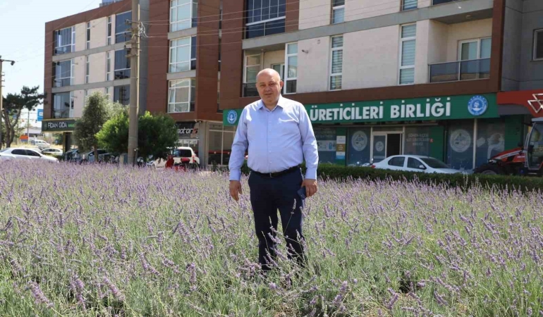 Gönen’de biyogaz tesisine “ÇED olumlu” kararı