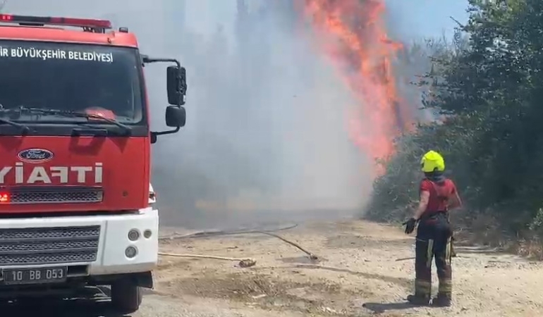 40 dereceyi aşan sıcaklık ve rüzgarın etkisiyle yangın kısa sürede büyüdü