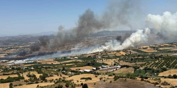 Balıkesir Pamukçu’da arazi yangını