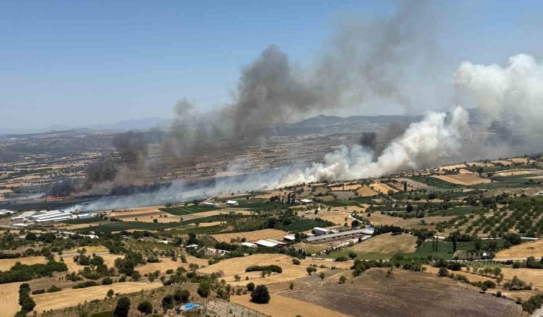 Balıkesir Pamukçu’da arazi yangını