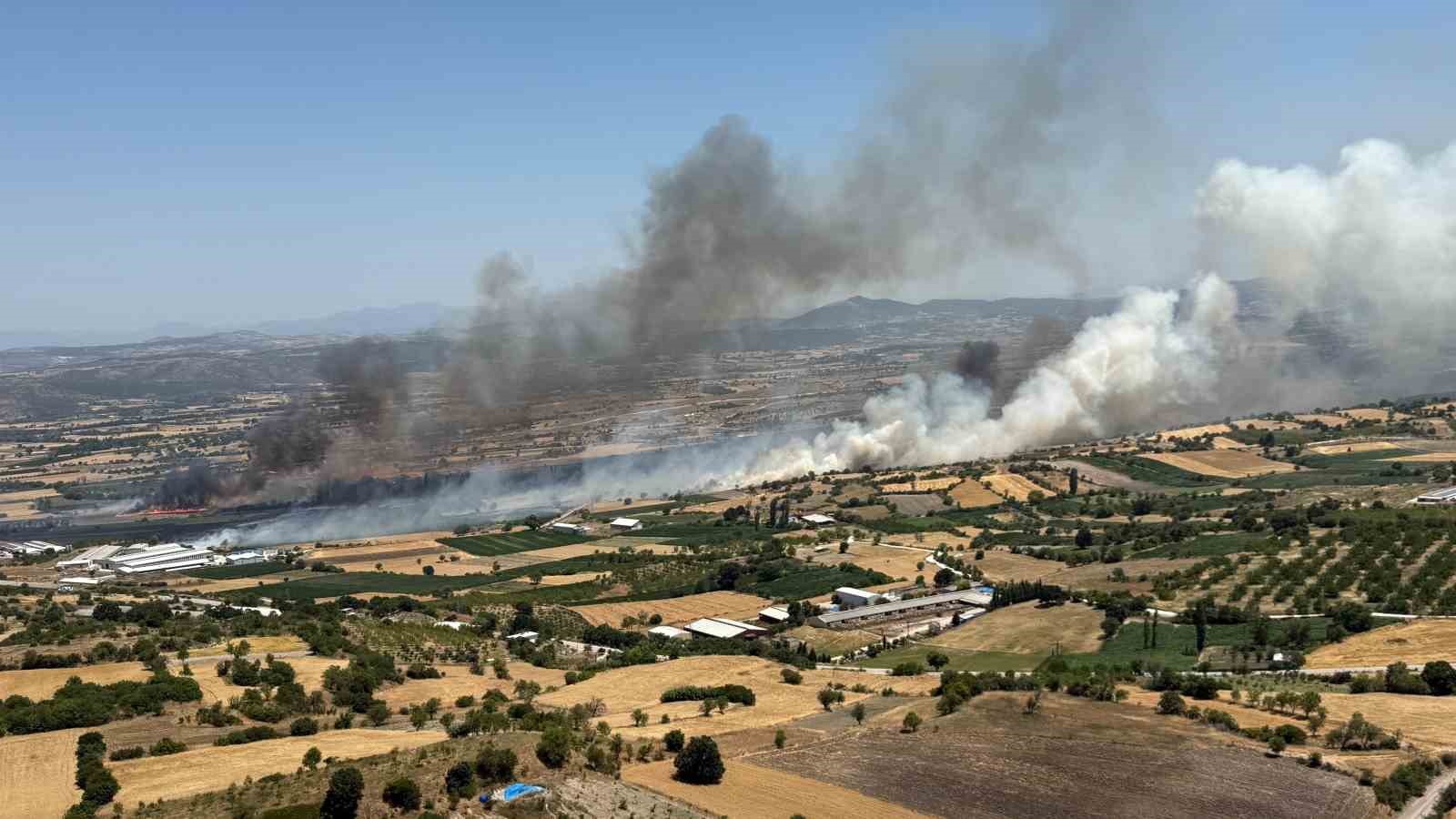 BALIKESİR PAMUKÇU'DA ARAZİ YANGINI