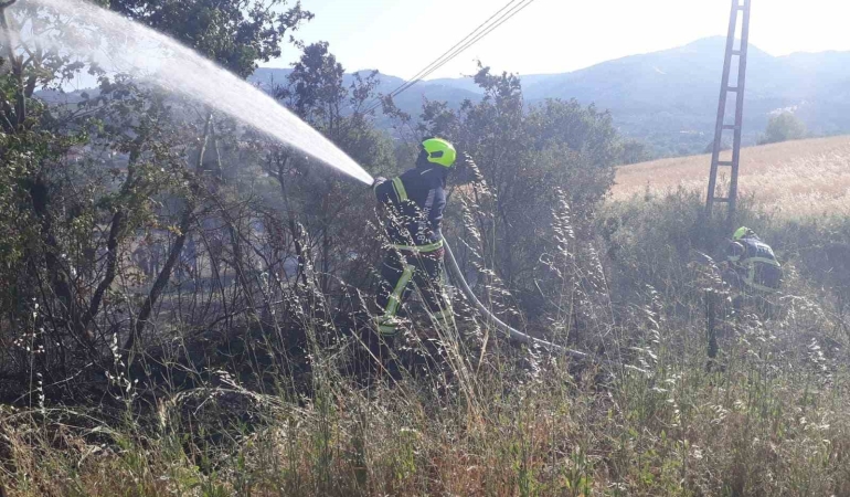 Balıkesir İtfaiyesi 9 günde 730 yangına müdahale etti