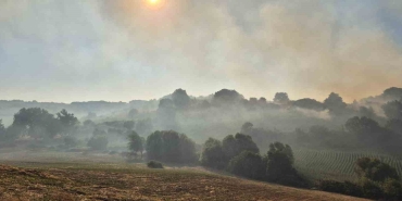 SUSURLUK BABAKÖY’DE ARAZİ YANGINI KONTROL ALTINA ALINDI