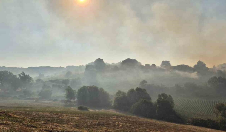 Susurluk Babaköy’de arazi yangını kontrol altına alındı