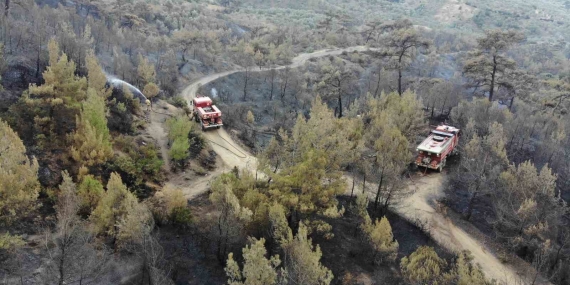 Balıkesir Havran’daki yangında havadan müdahale sabahın ilk ışıklarıyla tekrar başladı