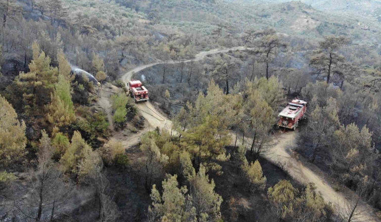 Balıkesir Havran’daki yangında havadan müdahale sabahın ilk ışıklarıyla tekrar başladı