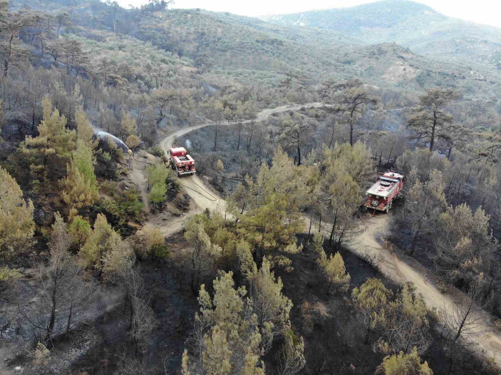 BALIKESİR HAVRAN'DAKİ YANGINDA HAVADAN MÜDAHALE SABAHIN İLK IŞIKLARIYLA TEKRAR BAŞLADI BALIKESİR'İN HAVRAN İLÇESİNDEKİ ORMAN YANGINI EKİPLERİN YOĞUN ÇALIŞMASI İLE KONTROL ALTINA ALINDI