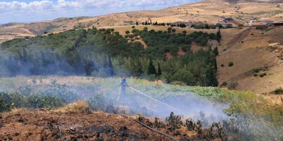 Balıkesir’in Altıeylül ilçesinde 2 arazi yangını