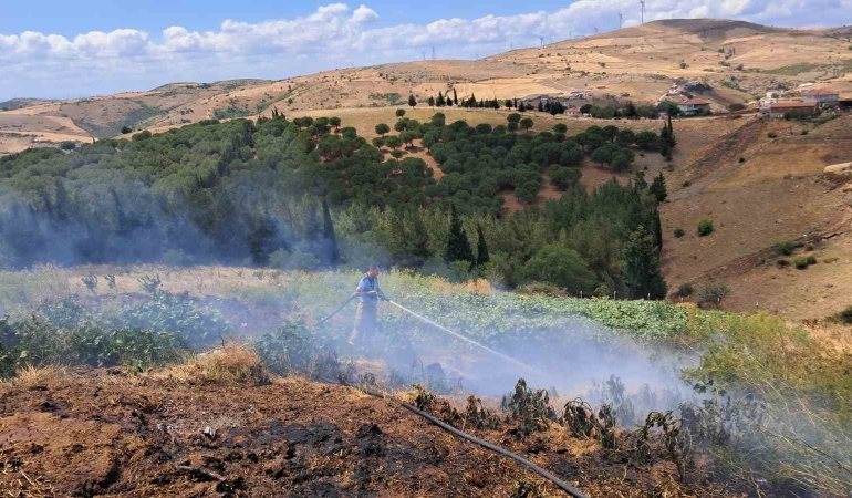 Balıkesir’in Altıeylül ilçesinde 2 arazi yangını