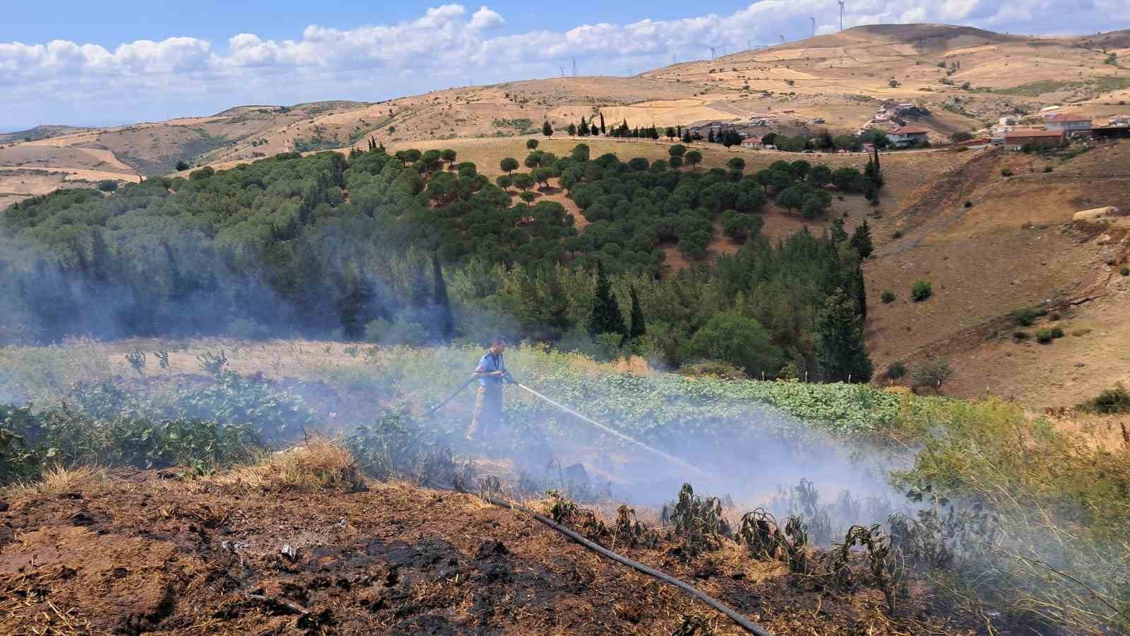 BALIKESİR'İN ALTIEYLÜL İLÇESİNDE 2 ARAZİ YANGINI ATEŞ ALTINDA KALAN KAPLUMBAĞALARI İTFAİYE EKİPLERİ KURTARDI