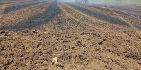 Bandırma Kayacık kırsalında anız ve ekili alan yangını korkuttu