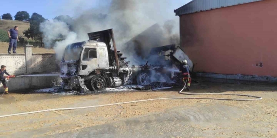Park halindeki kamyonda çıkan yangın otluk alana sıçradı