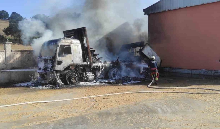 Park halindeki kamyonda çıkan yangın otluk alana sıçradı