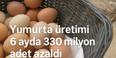 24bf011d-0a99-4d6f-b99a-1395188e398a